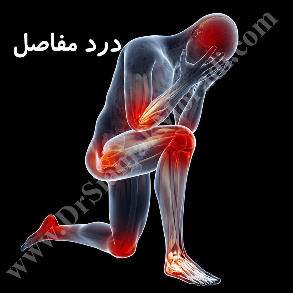 moradi.jpg
