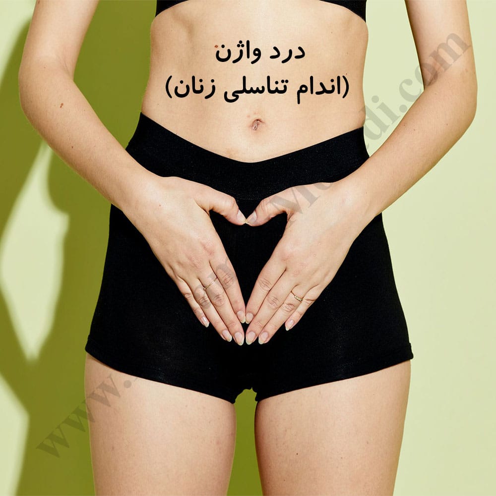 -واژن.jpg