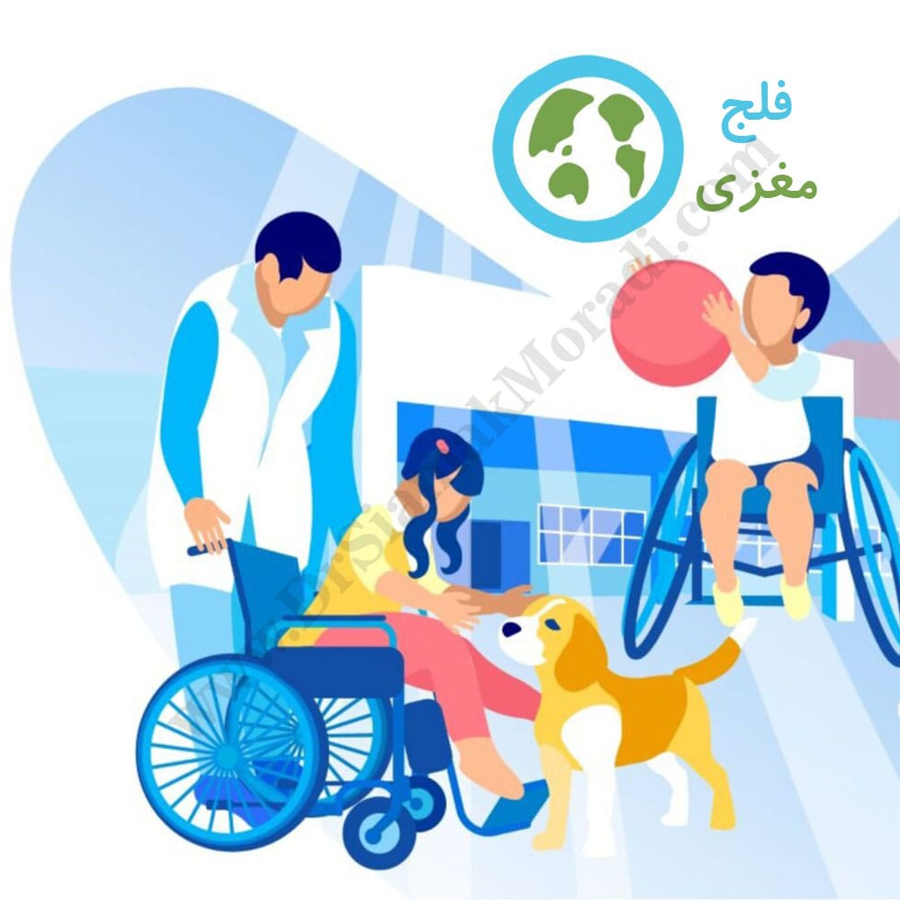 -مغزی-2-1.jpg