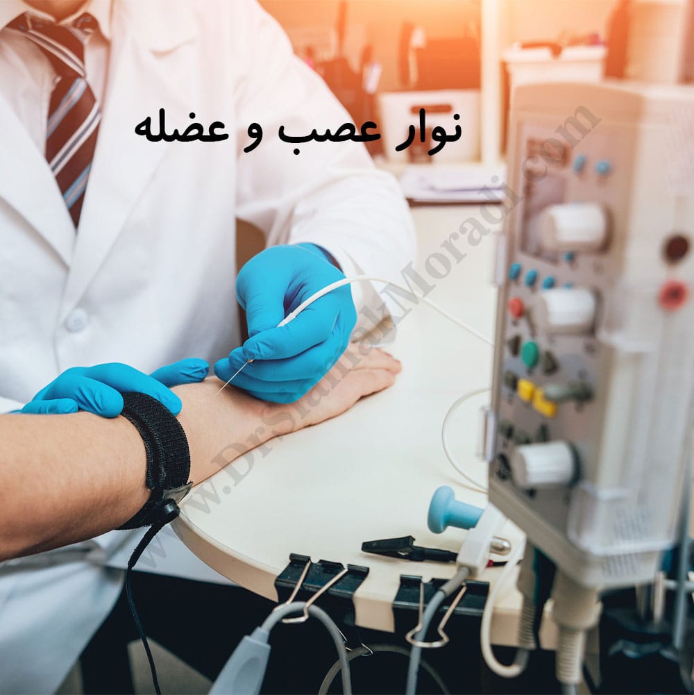 -عصب-و-عضله-1.jpg