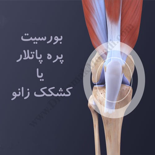 -زانو.jpg