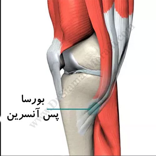 -آنسرین.jpg