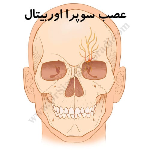 -اوربیتال-4.jpg